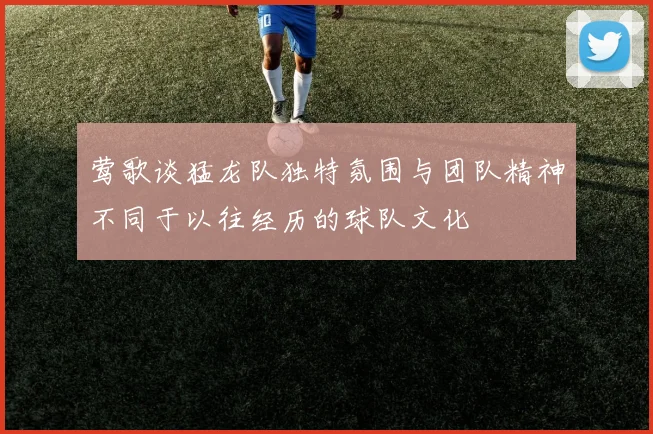 莺歌谈猛龙队独特氛围与团队精神不同于以往经历的球队文化