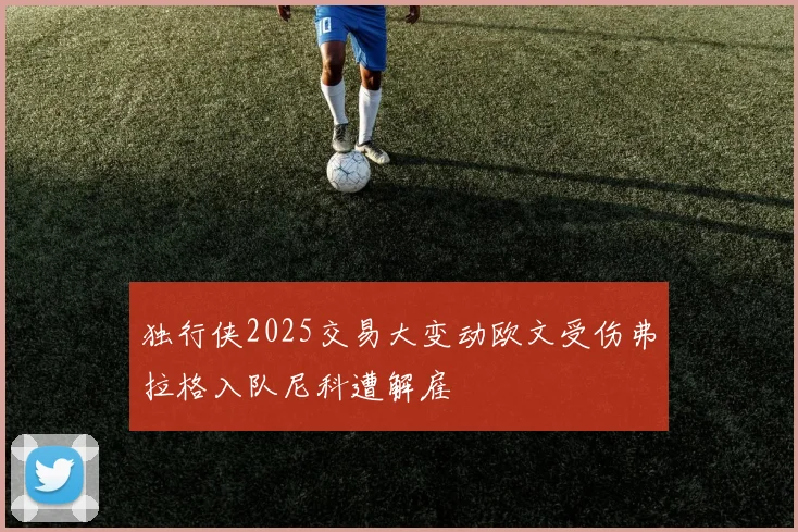 独行侠2025交易大变动欧文受伤弗拉格入队尼科遭解雇