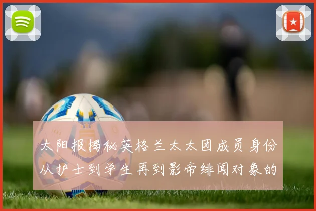 太阳报揭秘英格兰太太团成员身份从护士到学生再到影帝绯闻对象的多样性